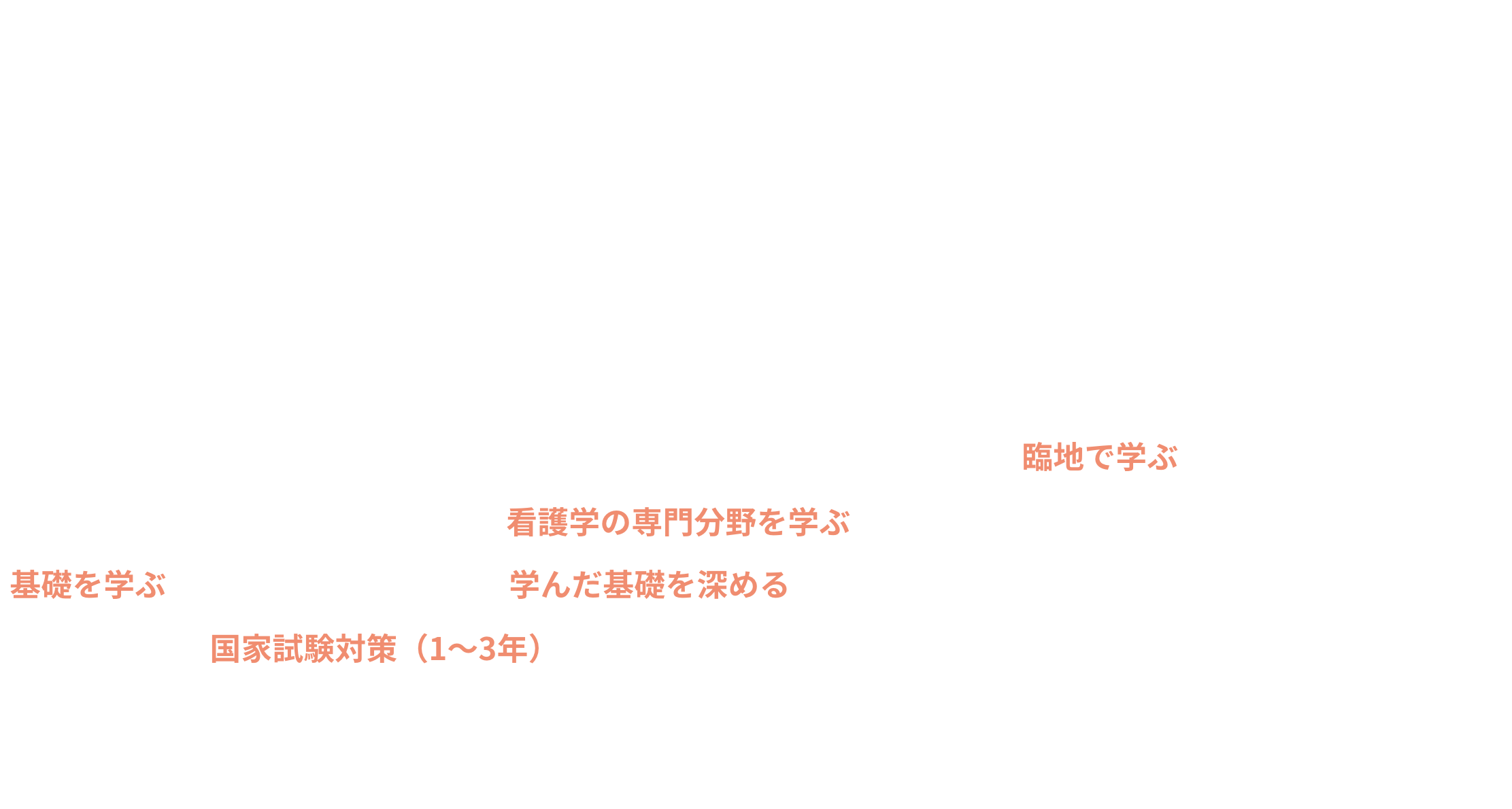 3年間のカリキュラム