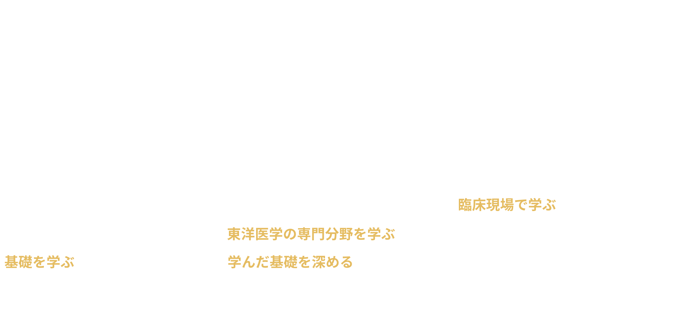 3年間のカリキュラム