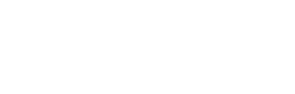 STUDENT MONDEN SAAYA