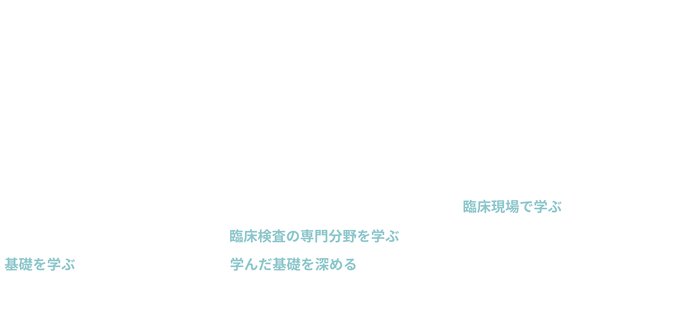 3年間のカリキュラム